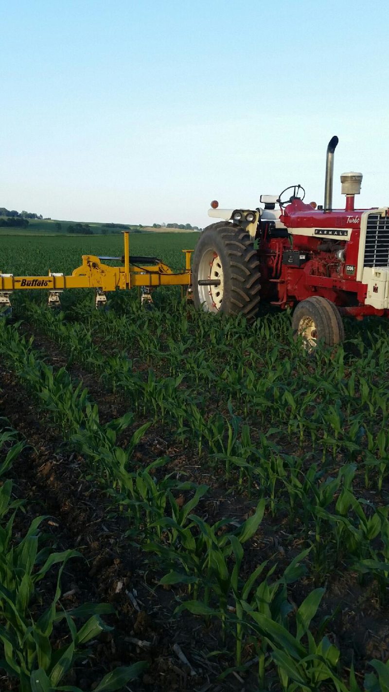 Boots In The Field Report June 28, 2019 CropTech Consulting