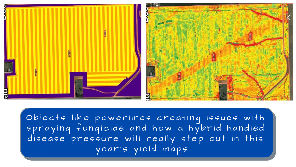 Boots In The Field Report September 28, 2021 CropTech Consulting