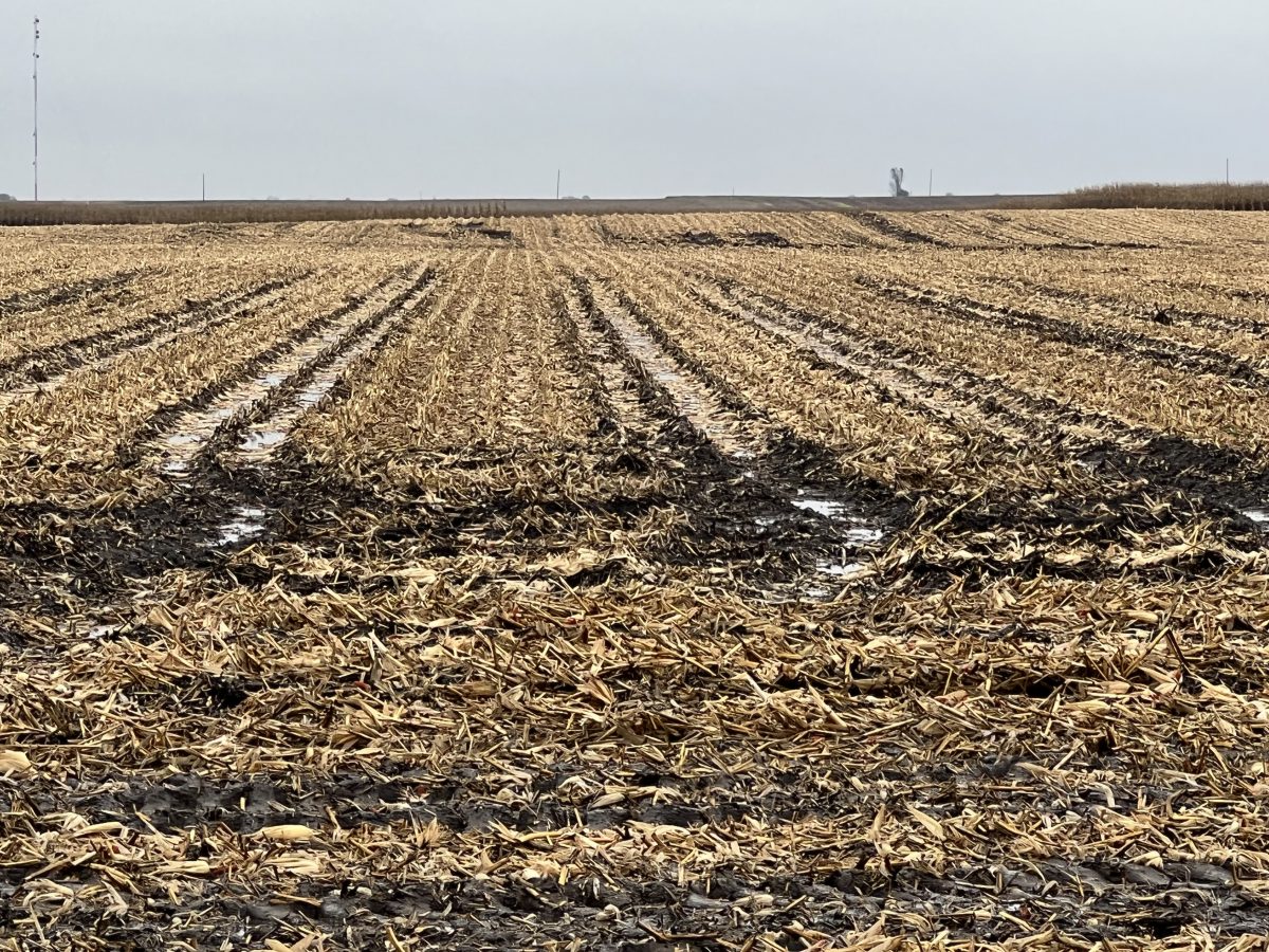 Boots In The Field Report October 28, 2021 CropTech Consulting